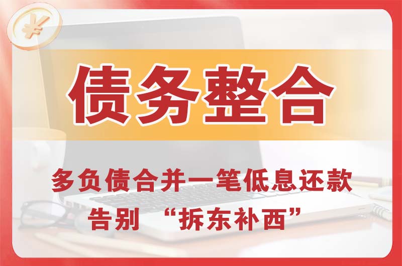 浪卡子债务整合